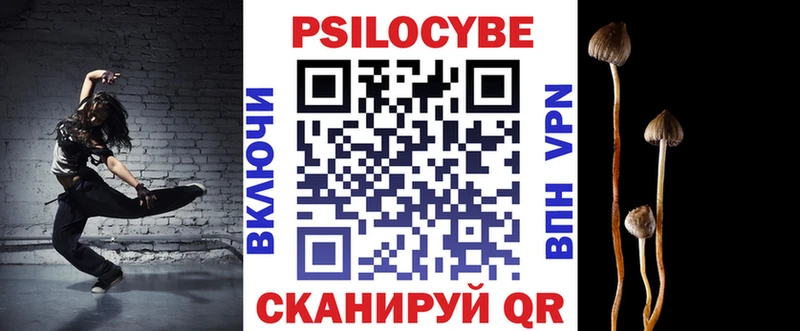 ссылка на мегу ссылка  Райчихинск  Псилоцибиновые грибы Cubensis 